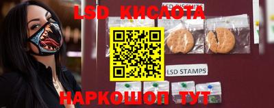 гидропоника Севастополь