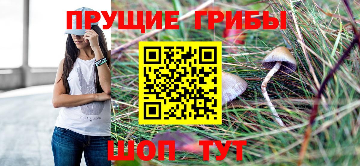 Галлюциногенные грибы GOLDEN TEACHER  Вход с VPN  закладка  Галлюциногенные грибы Psilocybe  Астрахань 