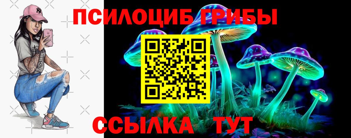 Псилоцибиновые грибы Psilocybe Астрахань